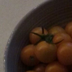 Meet your Posher, Miss